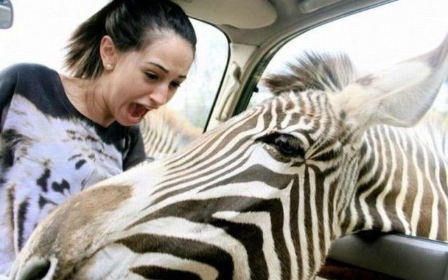 Bildschirmarbeiter - Picdump 13.07.2012