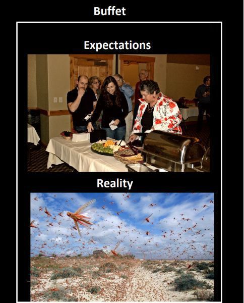 Bildschirmarbeiter - Picdump 13.07.2012