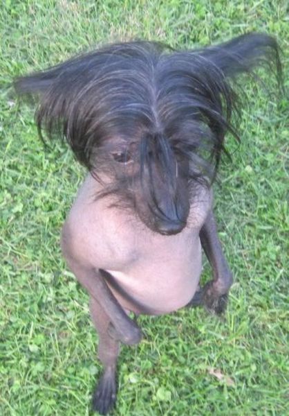 Bildschirmarbeiter - Picdump 13.07.2012