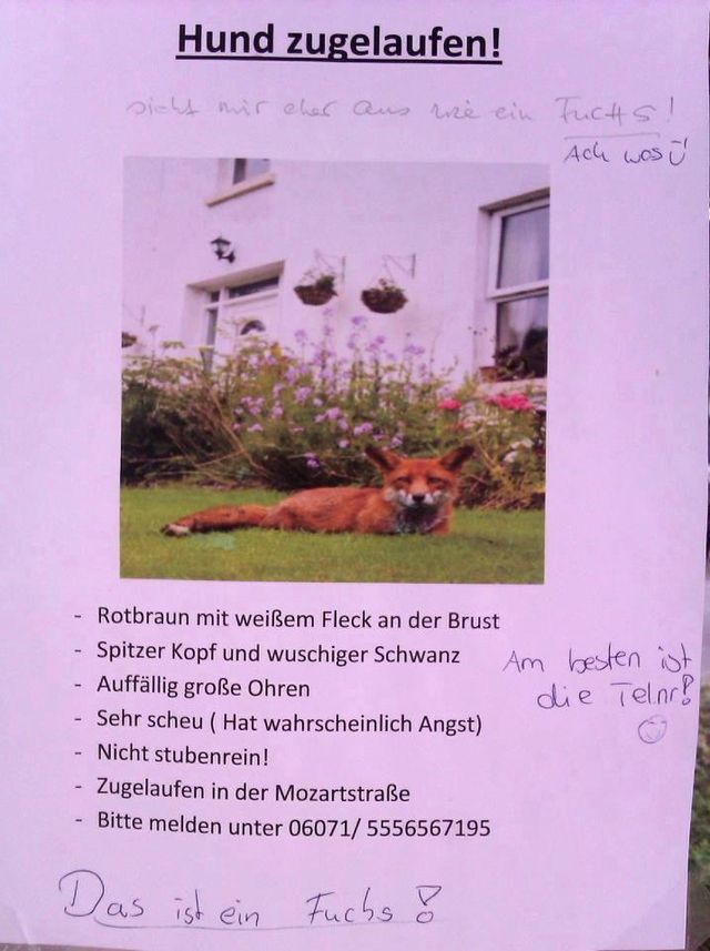 Bildschirmarbeiter - Picdump 13.07.2012