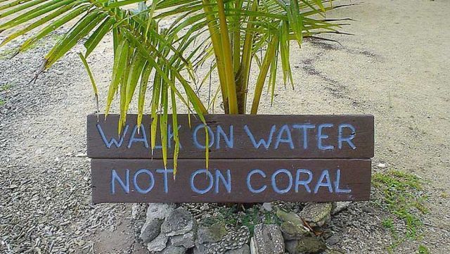 Bildschirmarbeiter - Picdump 13.07.2012