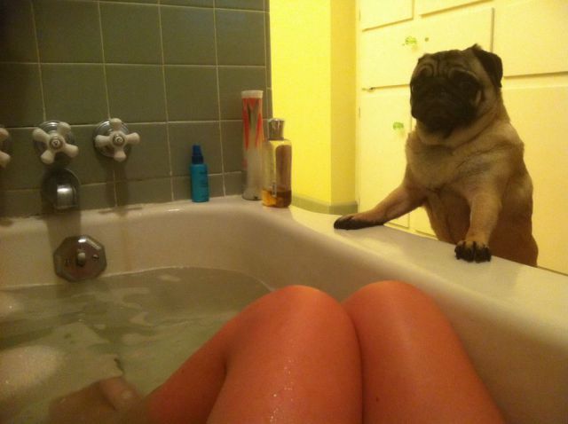 Bildschirmarbeiter - Picdump 20.07.2012