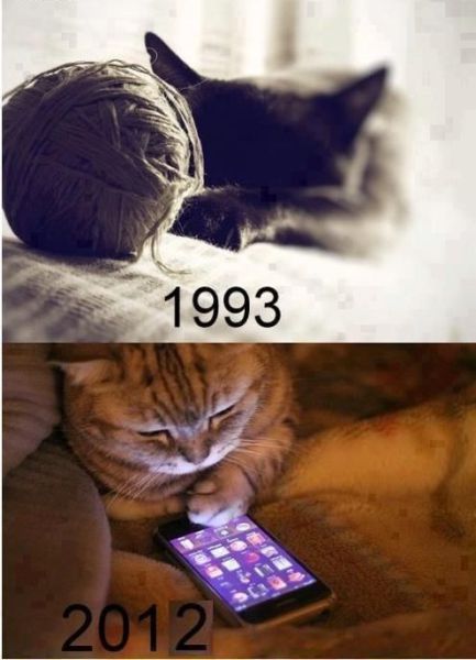 Bildschirmarbeiter - Picdump 20.07.2012