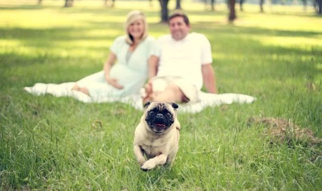 Bildschirmarbeiter - Picdump 20.07.2012