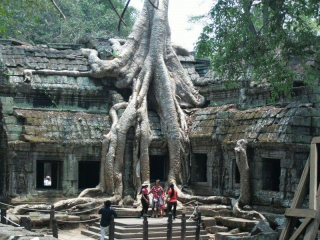 Bildschirmarbeiter - Picdump 20.07.2012