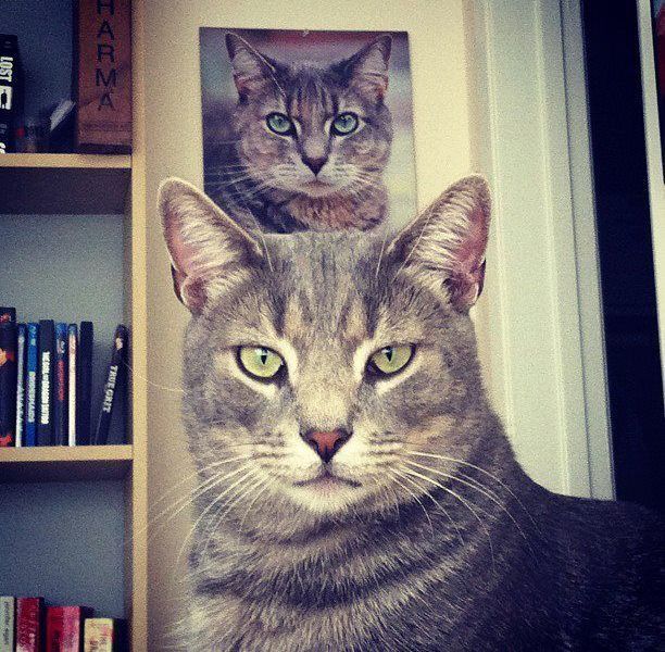 Bildschirmarbeiter - Picdump 20.07.2012