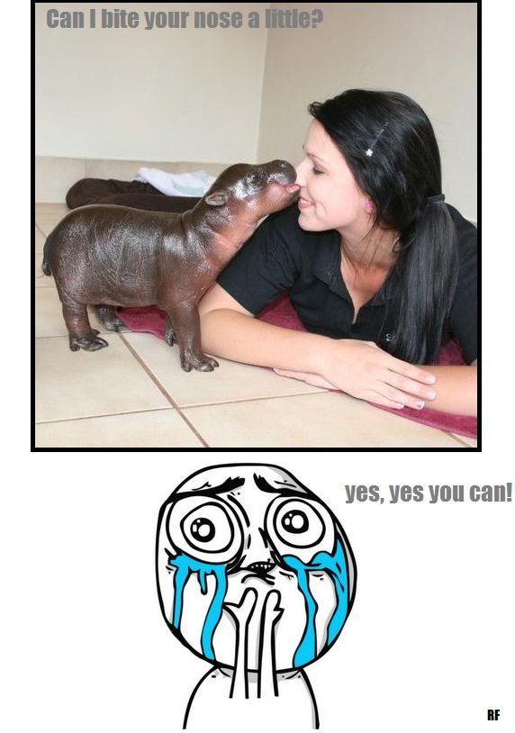 Bildschirmarbeiter - Picdump 20.07.2012