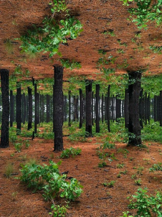 Bildschirmarbeiter - Picdump 20.07.2012