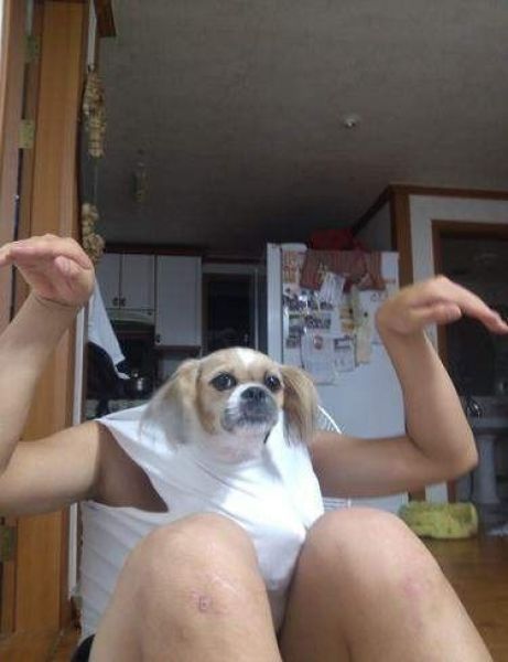 Bildschirmarbeiter - Picdump 27.07.2012