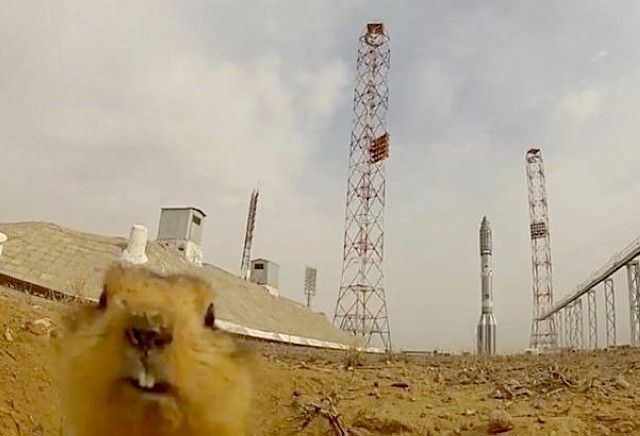 Bildschirmarbeiter - Picdump 27.07.2012