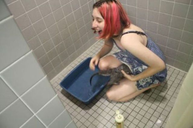 Bildschirmarbeiter - Picdump 27.07.2012