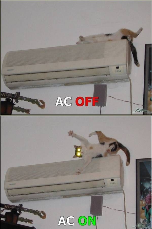 Bildschirmarbeiter - Picdump 27.07.2012