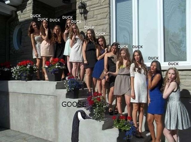 Bildschirmarbeiter - Picdump 27.07.2012