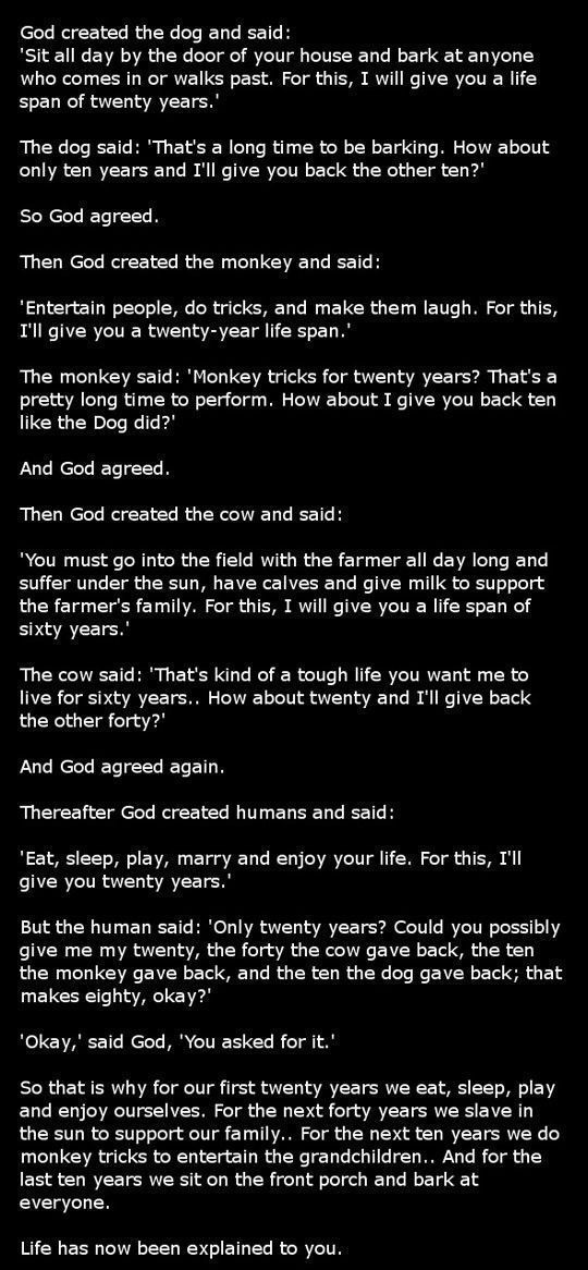 Bildschirmarbeiter - Picdump 27.07.2012