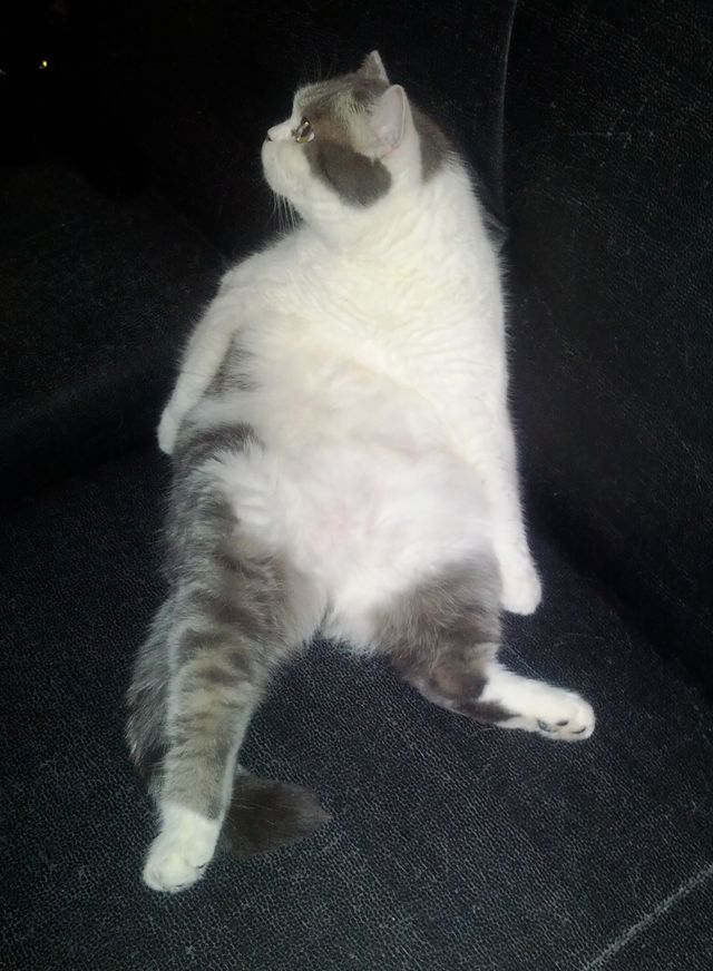 Bildschirmarbeiter - Picdump 27.07.2012