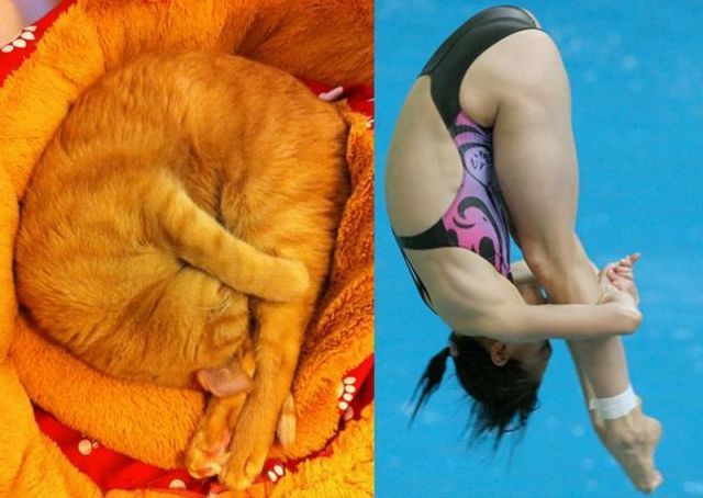 Bildschirmarbeiter - Picdump 10.08.2012 ( Nachschlag )