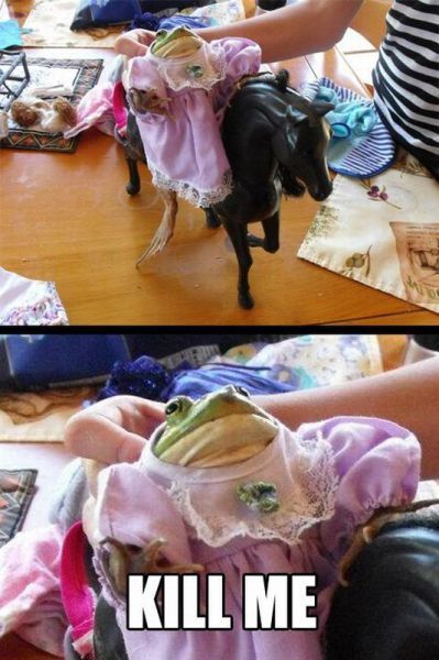 Bildschirmarbeiter - Picdump 10.08.2012 ( Nachschlag )