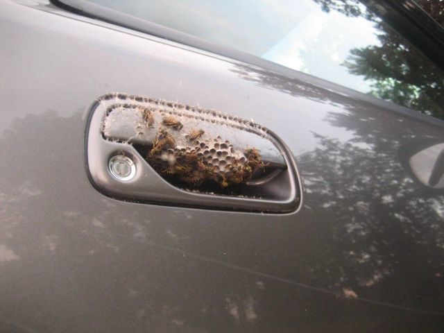 Bildschirmarbeiter - Picdump 10.08.2012