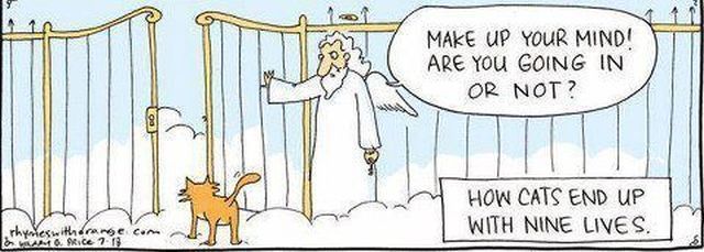 Bildschirmarbeiter - Picdump 10.08.2012