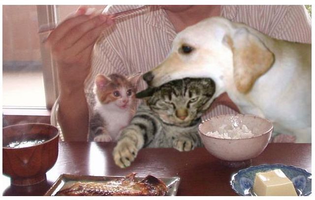 Bildschirmarbeiter - Picdump 10.08.2012