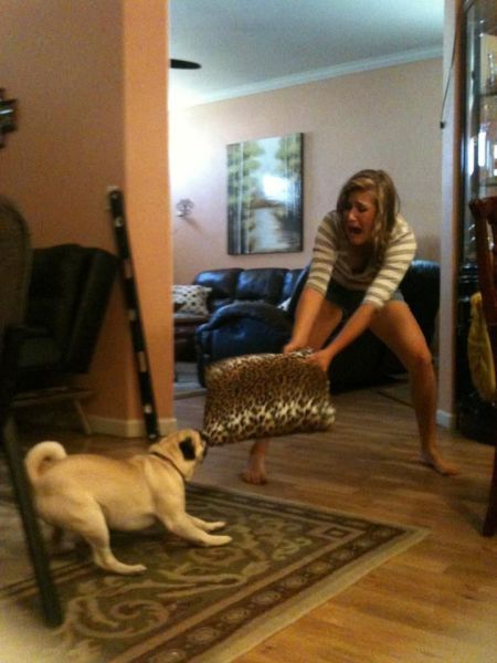 Bildschirmarbeiter - Picdump 10.08.2012