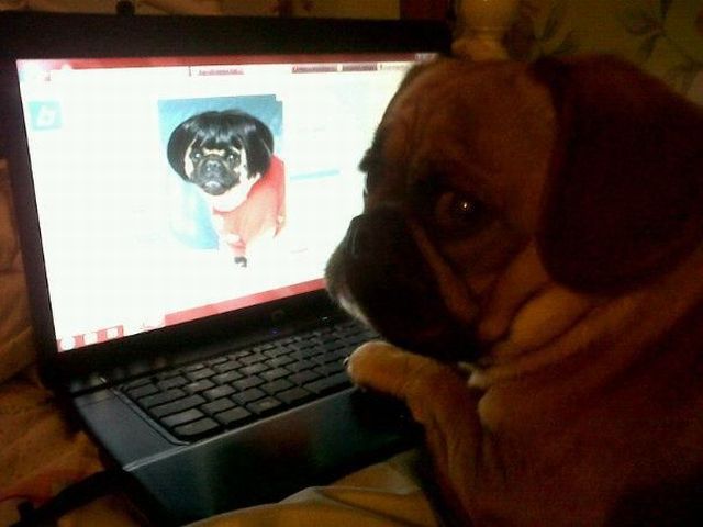 Bildschirmarbeiter - Picdump 10.08.2012