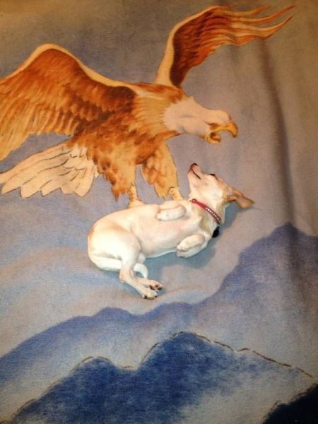 Bildschirmarbeiter - Picdump 10.08.2012