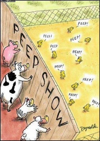 Bildschirmarbeiter - Picdump 10.08.2012