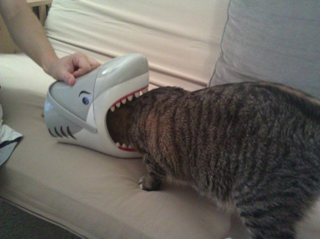 Bildschirmarbeiter - Picdump 17.08.2012