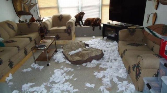 Bildschirmarbeiter - Picdump 17.08.2012