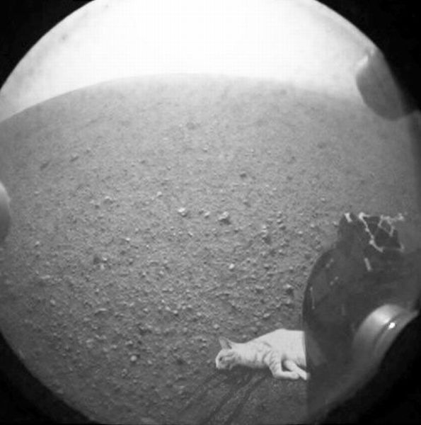 Bildschirmarbeiter - Picdump 17.08.2012