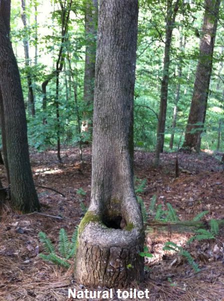 Bildschirmarbeiter - Picdump 17.08.2012