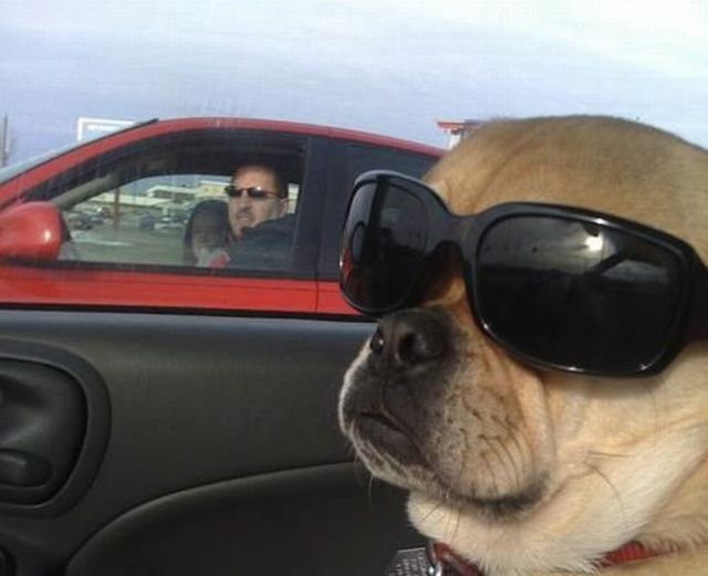 Bildschirmarbeiter - Picdump 24.08.2012