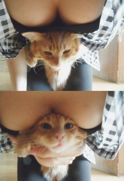 Bildschirmarbeiter - Picdump 24.08.2012