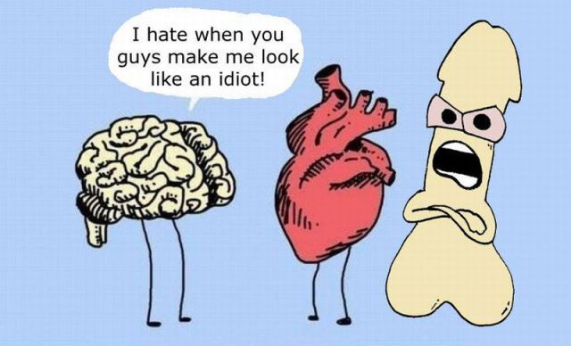 Bildschirmarbeiter - Picdump 24.08.2012