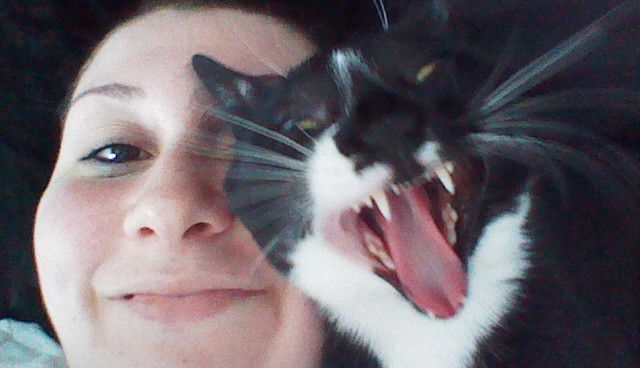 Bildschirmarbeiter - Picdump 24.08.2012