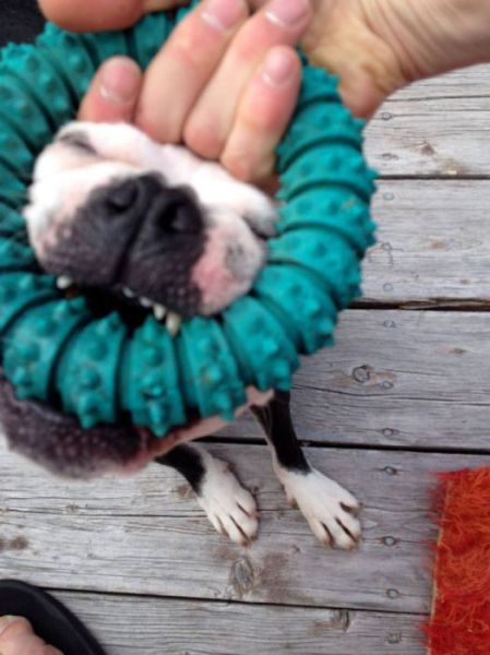 Bildschirmarbeiter - Picdump 24.08.2012