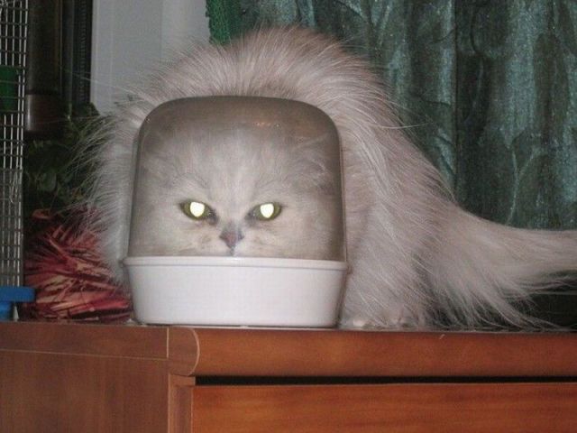 Bildschirmarbeiter - Picdump 24.08.2012