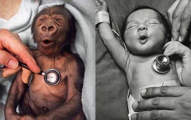 Bildschirmarbeiter - Picdump 24.08.2012