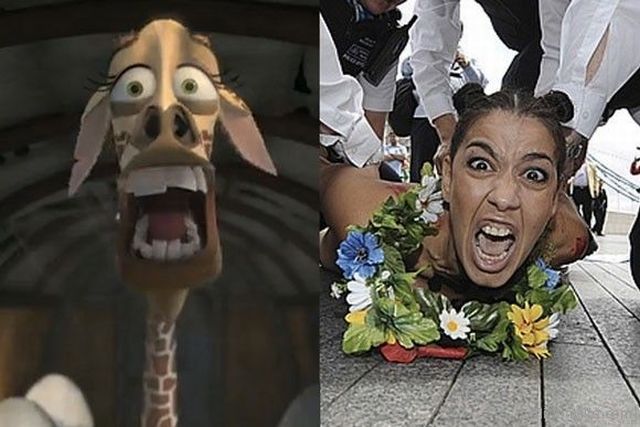 Bildschirmarbeiter - Picdump 24.08.2012