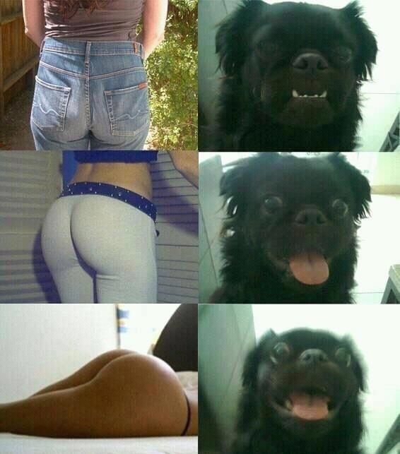 Bildschirmarbeiter - Picdump 24.08.2012