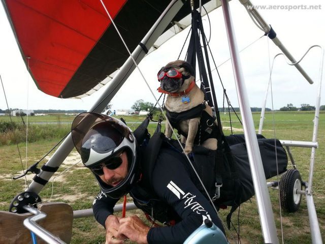 Bildschirmarbeiter - Picdump 24.08.2012