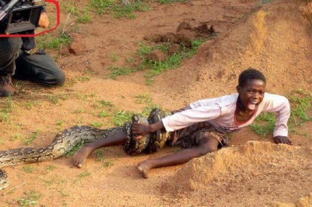 Bildschirmarbeiter - Picdump 24.08.2012