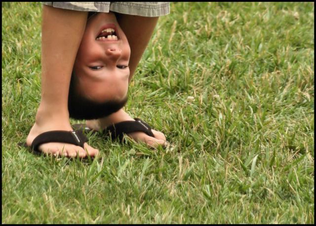 Bildschirmarbeiter - Picdump 24.08.2012