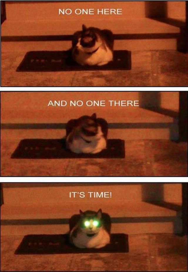 Bildschirmarbeiter - Picdump 24.08.2012