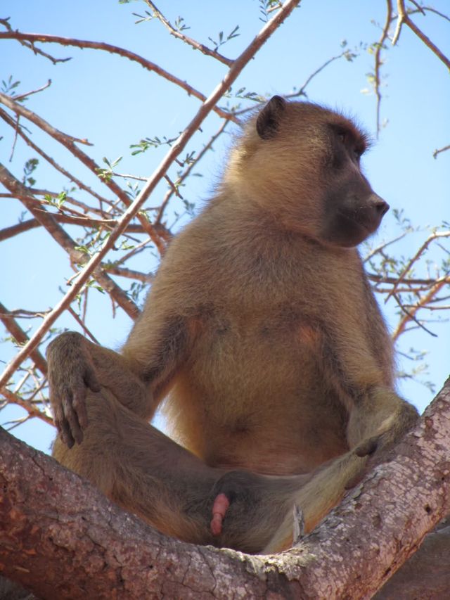 Bildschirmarbeiter - Picdump 24.08.2012