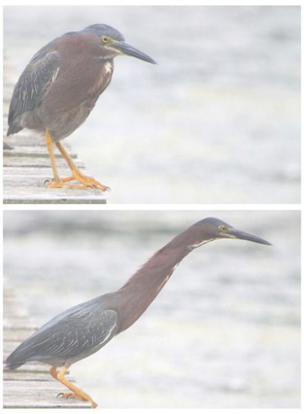 Bildschirmarbeiter - Picdump 31.08.2012