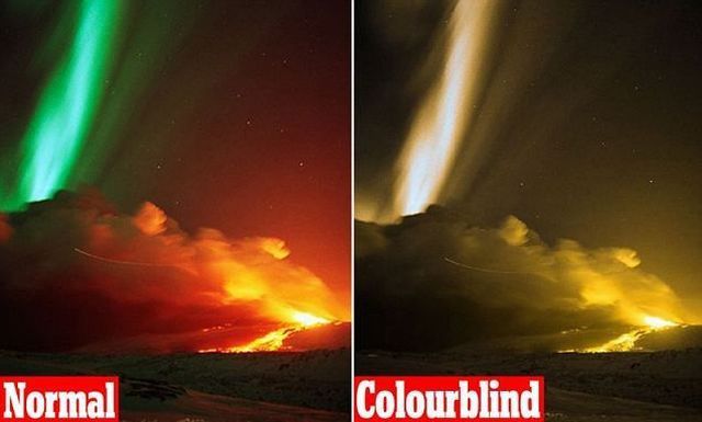 Bildschirmarbeiter - Picdump 31.08.2012