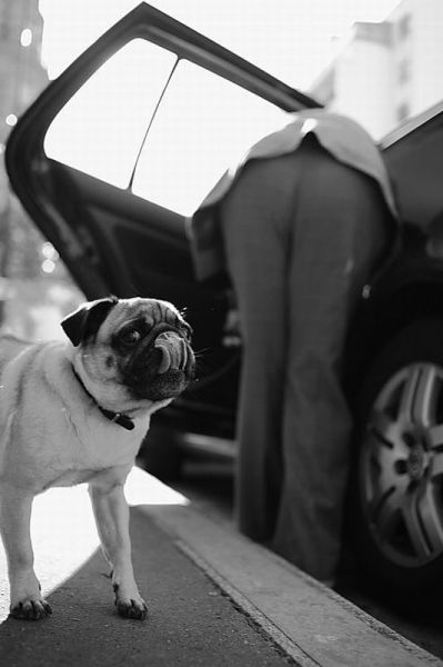 Bildschirmarbeiter - Picdump 31.08.2012