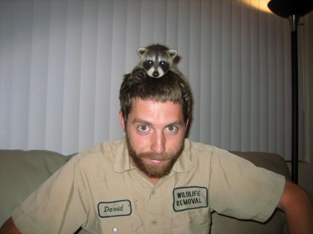 Bildschirmarbeiter - Picdump 31.08.2012